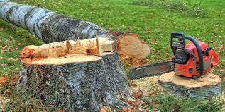How Our Tree Care Process Works  in  Sisters, OR