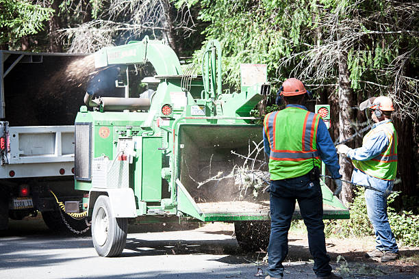 Mulching Services in Sisters, OR